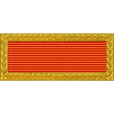 Florida National Guard Governor's Meritorious Unit Citation (with Gold Frame)
